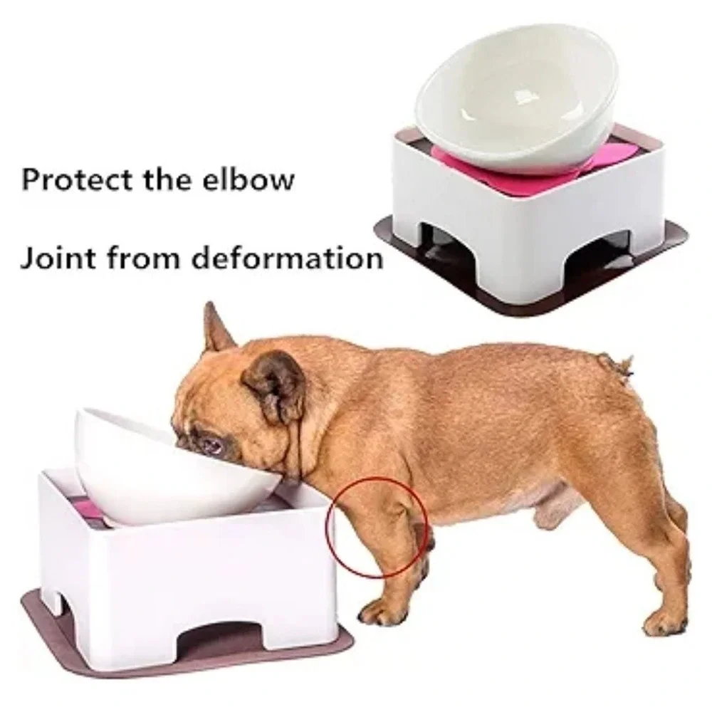 Dog Bowl
